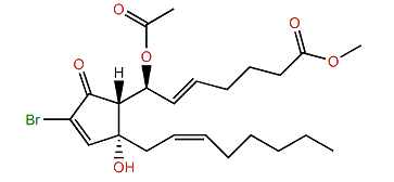 7-Acetoxy-7,8-dihydrobromovulone II